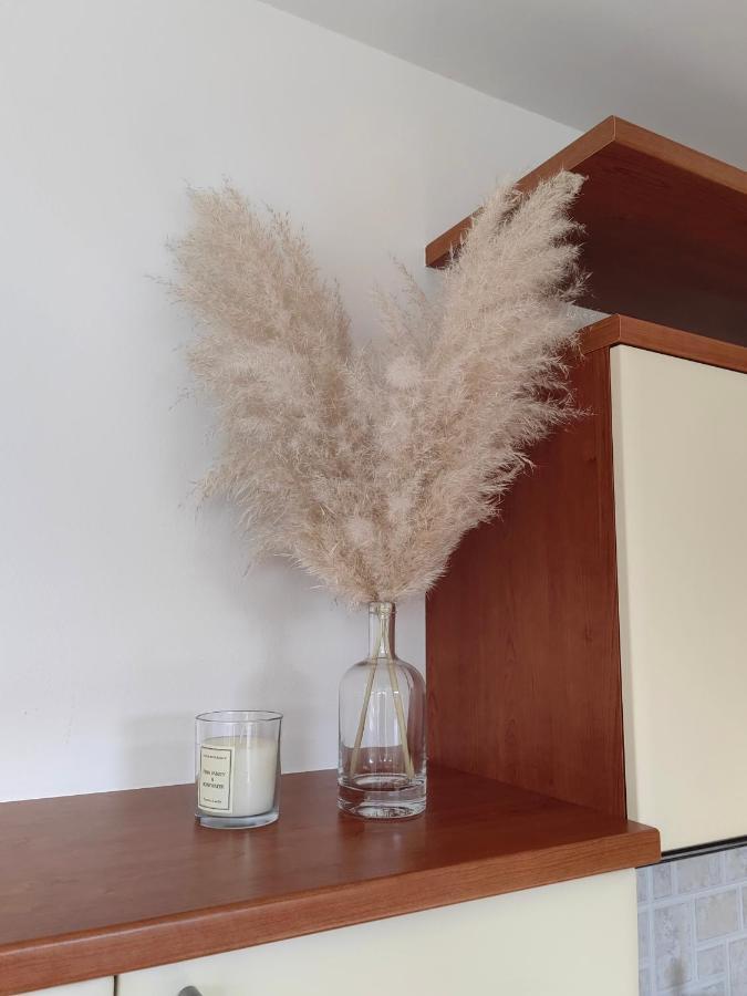 Sea View Apartment & Studio Apartment Bruno Umag Buitenkant foto